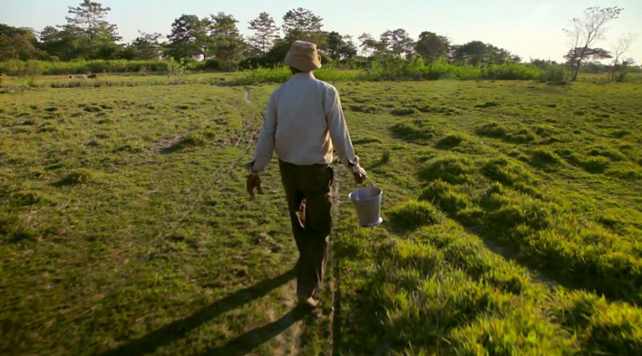 印度一岛民坚持种树35年,将550公顷荒岛变森林--置顶表情